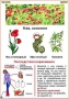 Комплект кодотранспарантов "Ядовитые растения" - fgospostavki.ru - Артёмовский